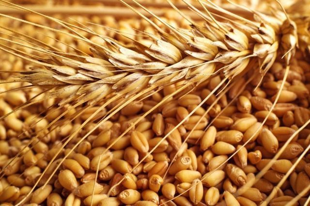 Portada Alimentos recomendados en anemia