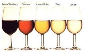 El maridaje de vinos es todo un arte. El mejor vino para la salud es el tinto. Calorías vacías.