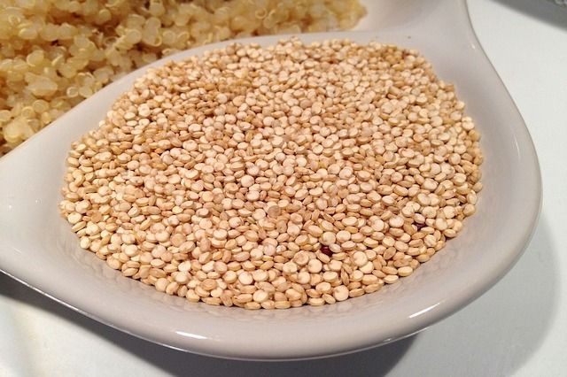 Portada Quinoa