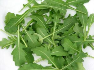 Cena de San Valentín. Desde el siglo I a.c, la Rúcula está documentada como alimento afrodisíaco. Es conocida, también, como la "Planta de la Lujuria" San Valentín.