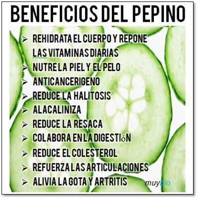 Sopa de pepino. Infografia de los beneficios del pepino. Dieta equilibrada.