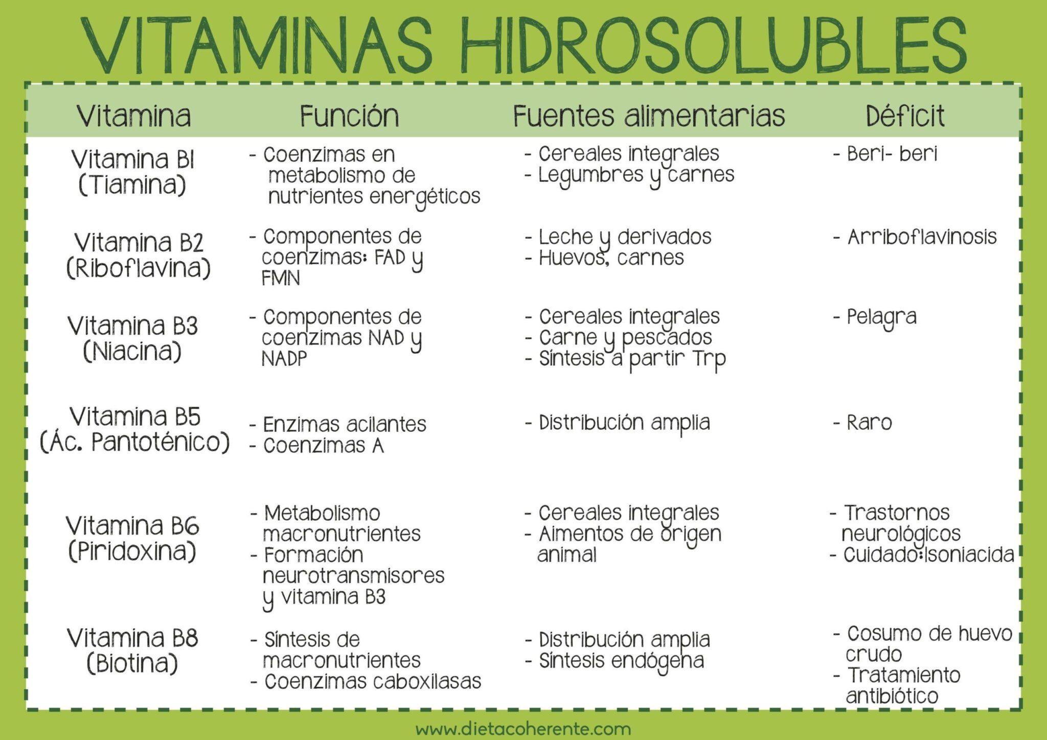 Alimentos ricos en vitamina B. Vitaminas hidrosolubles