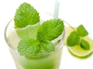 Postres ricos y sanos. Protegen tu dieta y así no coges peso en las fiestas. Sorbete de mojito.