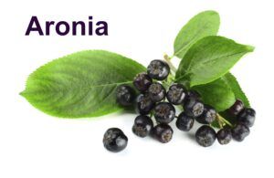 Superalimentos o superfoods de moda. Tienen propiedades antioxidantes y depurativas, refuerzan tus defensas y te mantienen joven como la aronia