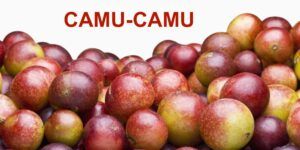 Superalimentos o superfoods de moda. Tienen propiedades antioxidantes y depurativas, refuerzan tus defensas y te mantienen joven como el camu-camu