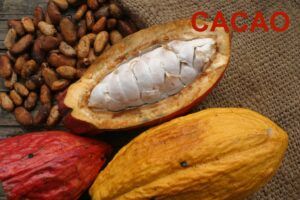 Superalimentos o superfoods de moda. Tienen propiedades antioxidantes y depurativas, refuerzan tus defensas y te mantienen joven como el cacao