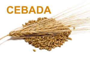 Superalimentos o superfoods de moda. Tienen propiedades antioxidantes y depurativas, refuerzan tus defensas y te mantienen joven como la cebada