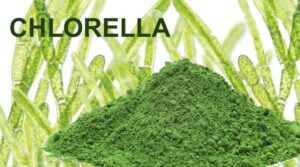 Superalimentos o superfoods de moda. Tienen propiedades antioxidantes y depurativas, refuerzan tus defensas y te mantienen joven como la chlorella