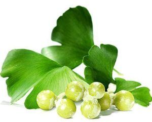 Superalimentos o superfoods de moda. Tienen propiedades antioxidantes y depurativas, refuerzan tus defensas y te mantienen joven como el ginko biloba