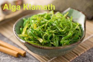 Superalimentos o superfoods de moda. Tienen propiedades antioxidantes y depurativas, refuerzan tus defensas y te mantienen joven como el alga klamath.