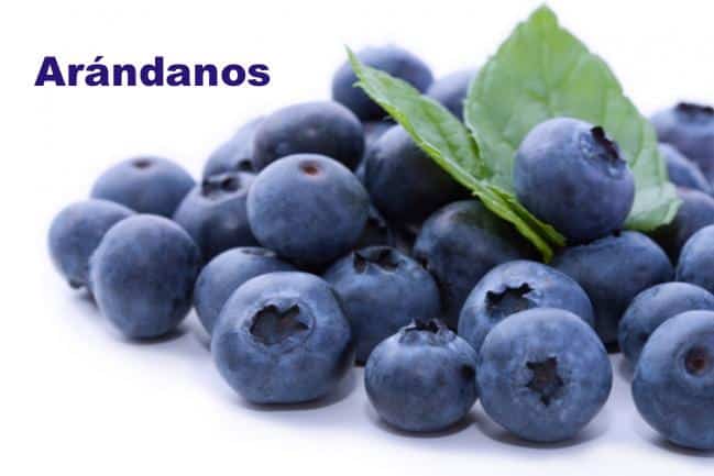 Consume arándanos son uno de los superfoods de moda. Polifenoles