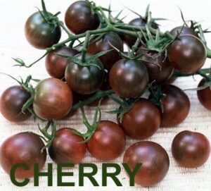 Superalimentos o superfoods de moda. Tienen propiedades antioxidantes y depurativas, refuerzan tus defensas y te mantienen joven como los cherrys
