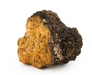 hongo-chaga-superfoods