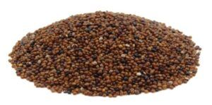 Superalimentos o superfoods de moda. Tienen propiedades antioxidantes y depurativas, refuerzan tus defensas y te mantienen joven como el kaniwa