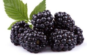 Superalimentos o superfoods de moda. Tienen propiedades antioxidantes y depurativas, refuerzan tus defensas y te mantienen joven como las moras