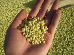 Superalimentos o superfoods de moda. Tienen propiedades antioxidantes y depurativas, refuerzan tus defensas y te mantienen joven como el MSM azufre