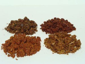 Superalimentos o superfoods de moda. Tienen propiedades antioxidantes y depurativas, refuerzan tus defensas y te mantienen joven como el própolis