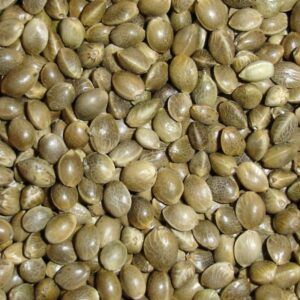 Superalimentos o superfoods de moda. Tienen propiedades antioxidantes y depurativas, refuerzan tus defensas y te mantienen joven como las semillas de cáñamo