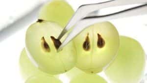 Superalimentos o superfoods de moda. Tienen propiedades antioxidantes y depurativas, refuerzan tus defensas y te mantienen joven como las semillas de uva