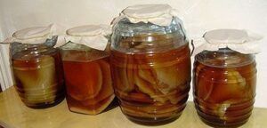 Superalimentos o superfoods de moda. Tienen propiedades antioxidantes y depurativas, refuerzan tus defensas y te mantienen joven como el té kombucha
