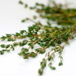 Sopa depurativa. Depura tu organismo estas Navidades con infusiones digestivas y depurativas. Tomillo