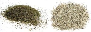 Grandes alimentos antiedad son el té blanco y verde, gracias a compuestos antioxidantes son tus aliado para la dieta. Elasticidad del pecho