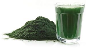 Las microalgas son los alimentos probióticos más famosos para añadir a tus smoothies o batidos. Por todo su poder nutricional y beneficios a la salud.