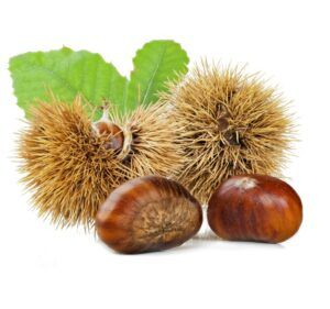 portada comer frutos secos castañas
