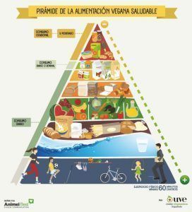 dieta vegetariana o vegana equilibrada. Pirámide alimentación vegana. Dieta del deportista vegetariano