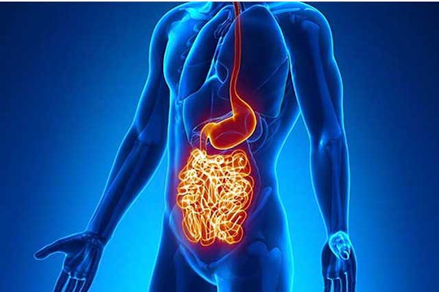 Portada alimentación en la enfermedad de crohn