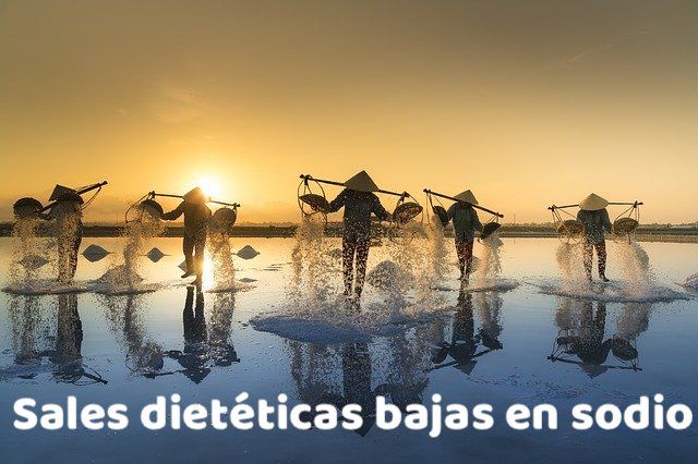 Portada sales dietéticas bajas en sodio