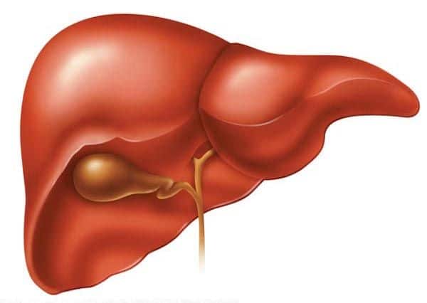 Portada alimentación en insuficiencia hepática
