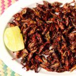 Propiedades nutricionales de los insectos. Chapulines