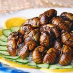 Propiedades nutricionales de los insectos. Cigarras
