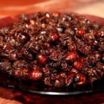 Propiedades nutricionales de los insectos. Hormigas rojas