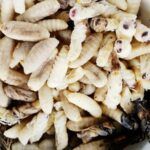 Propiedades nutricionales de los insectos. Larvas de abeja