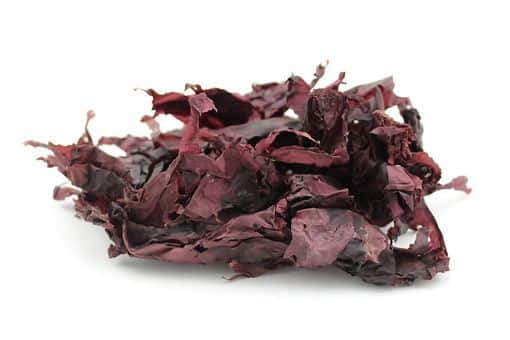 Estas recetas con algas completarán tu dieta sana y equilibrada. Dulse