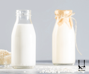 portada bebidas vegetales caaseras arroz