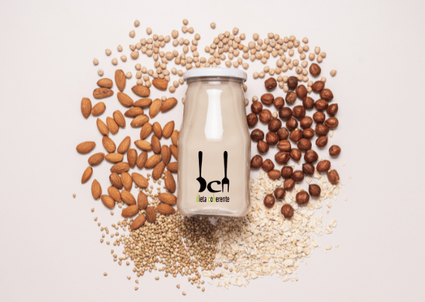 Portada bebidas vegetales caseras