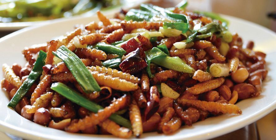 propiedades nutricionales de los insectos. Ensalada templada de gusanos