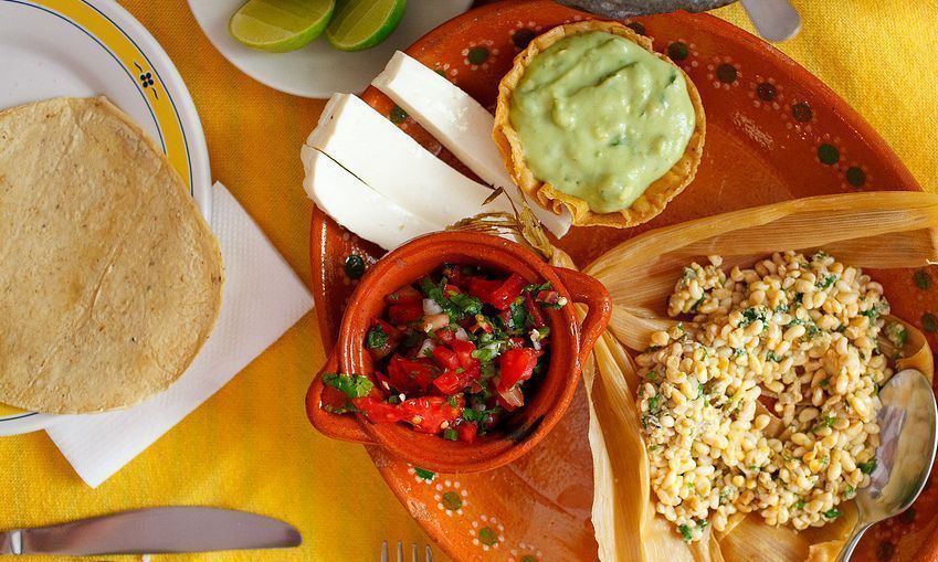 propiedades nutricionales de los insectos. Tacos Escamoles y guacamole