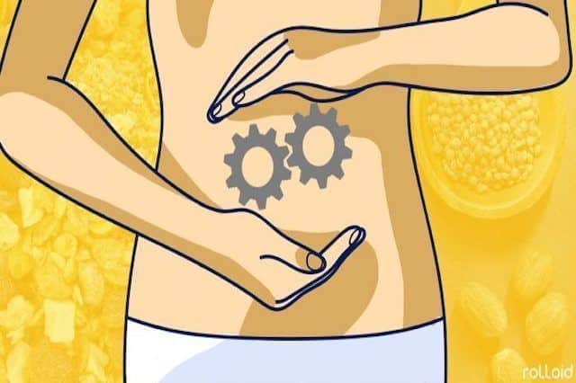 Portada activar el metabolismo