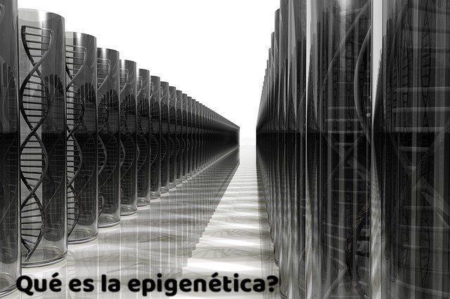 Portada epigenética