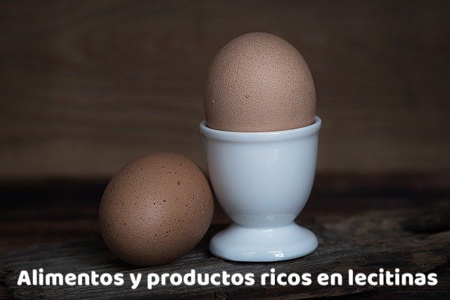 Portada Alimentos y productos ricos en lecitinas