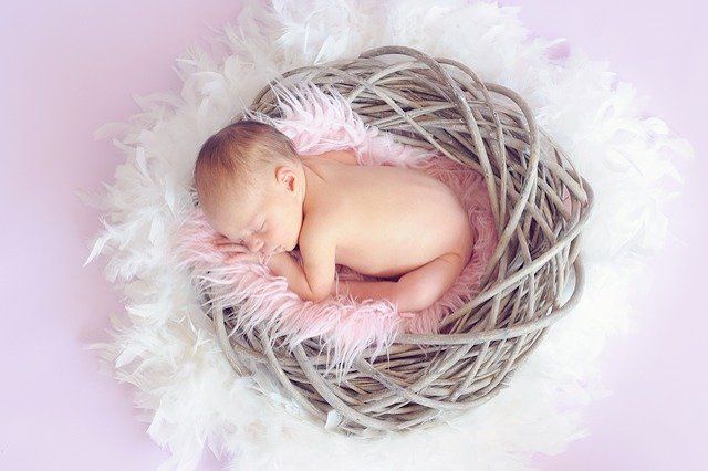 Portada Bundle de maternidad