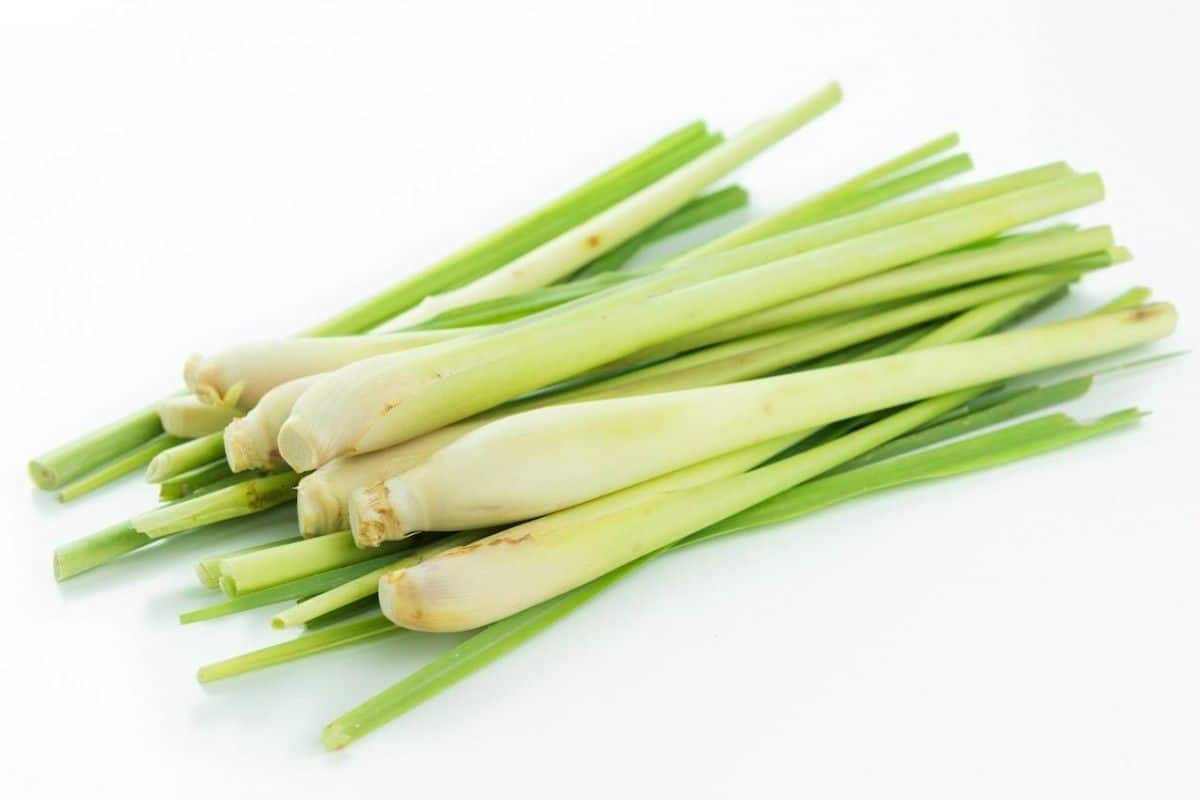 Frutas exóticas que seguramente desconocías y que puedes añadir a tu dieta diaria. Lemon grass
