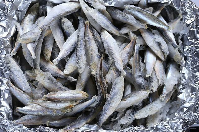 Portada Ventajas del pescado congelado