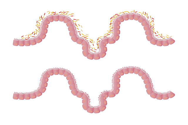 Portada Microbiota muconutritiva