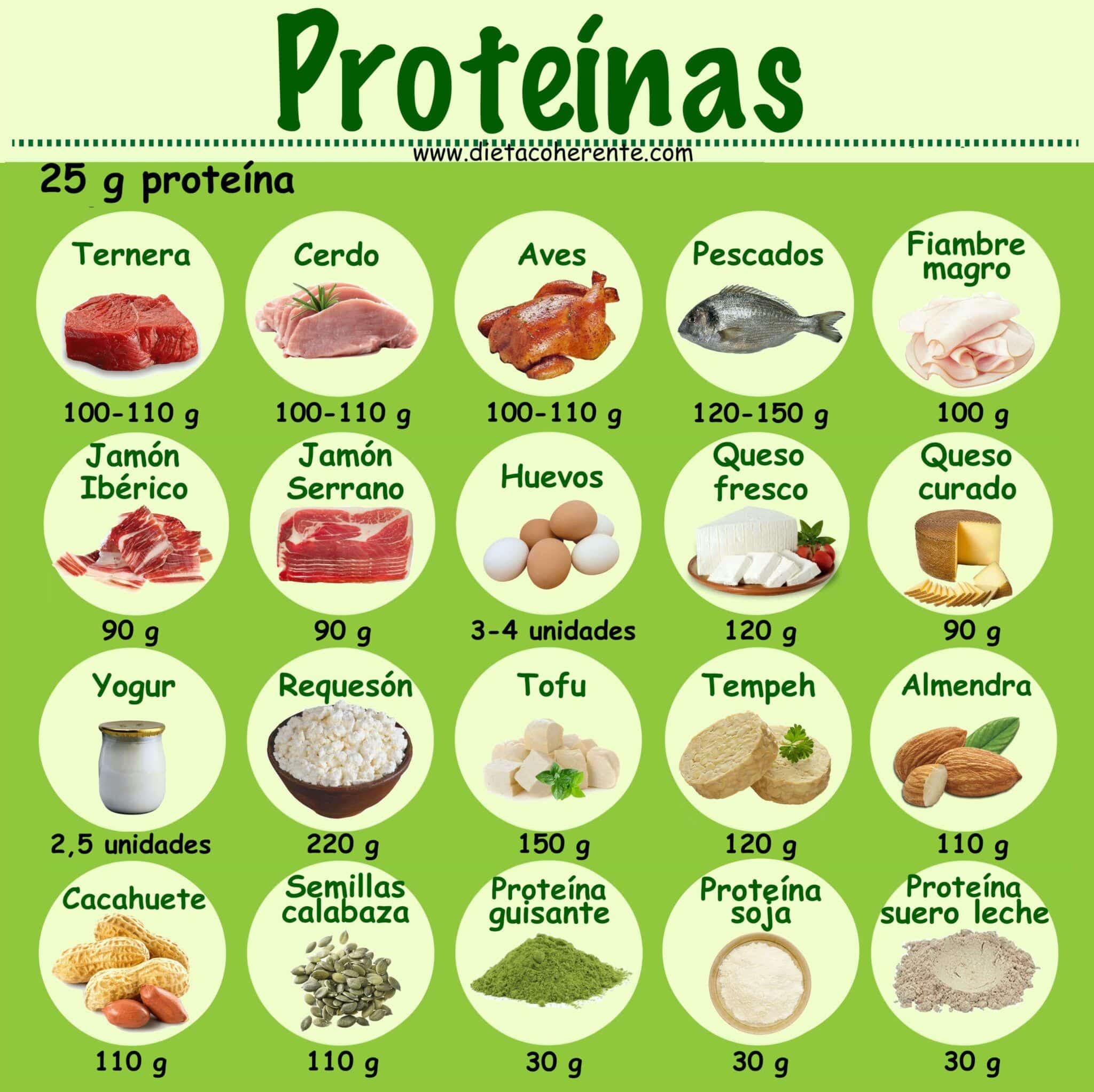 C lculo De Prote nas En La Dieta Lowcarb Gu a Alimentos