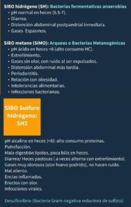 Tipos de SIBO | Sibo de sulfuro de hidrógeno